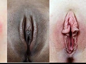 Pussy Close Up Collections