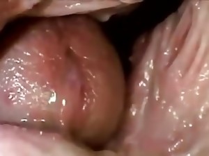 Inside a pussy